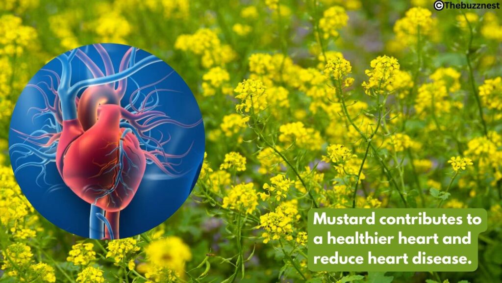 mustard sauce benefits