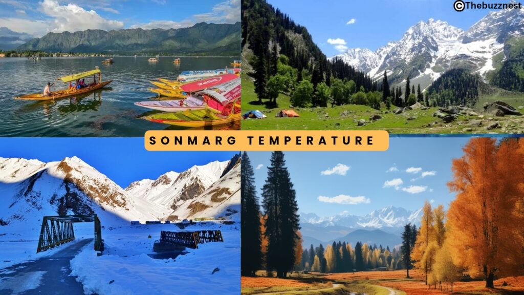 weather in srinagar 10 days