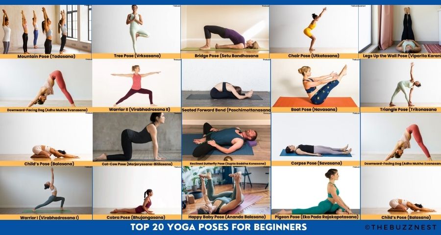 Yoga Poses for Beginners