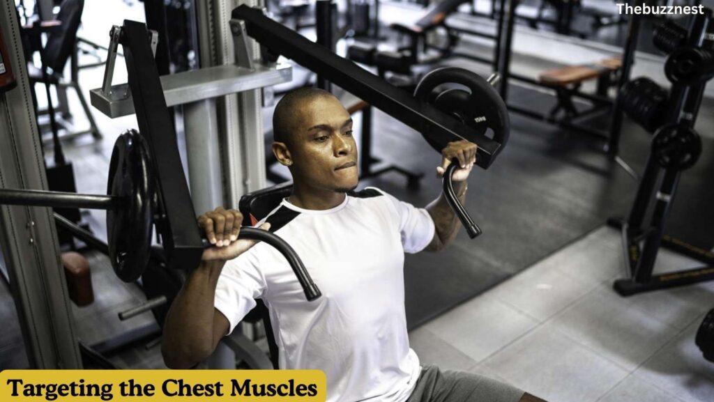 Chest Press