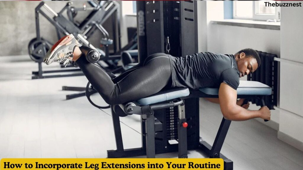 Leg Extension