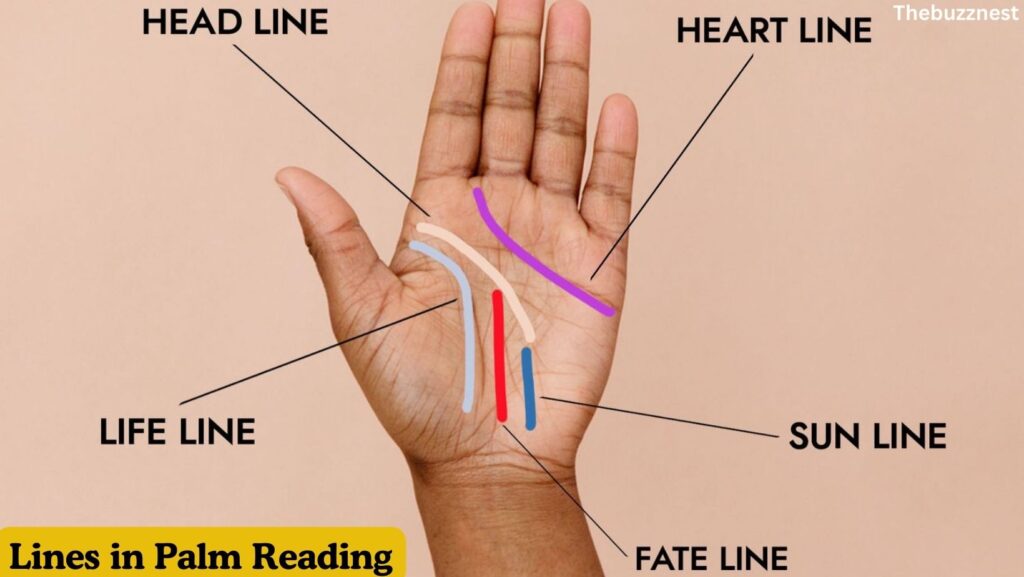 Palm reading